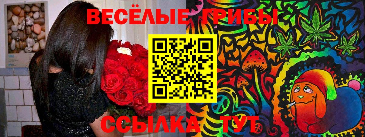 Галлюциногенные грибы Psilocybe  Вход с VPN  наркота  Аша 