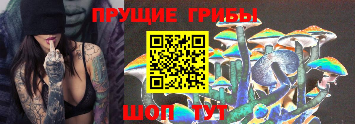Галлюциногенные грибы Cubensis Аша